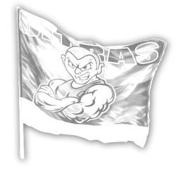 Handheld Waving Flags | Custom Print | EU Manufacturer