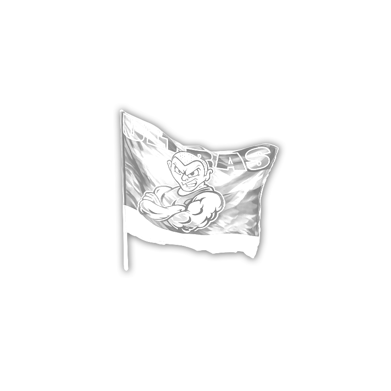 Handheld Waving Flags | Custom Print | EU Manufacturer