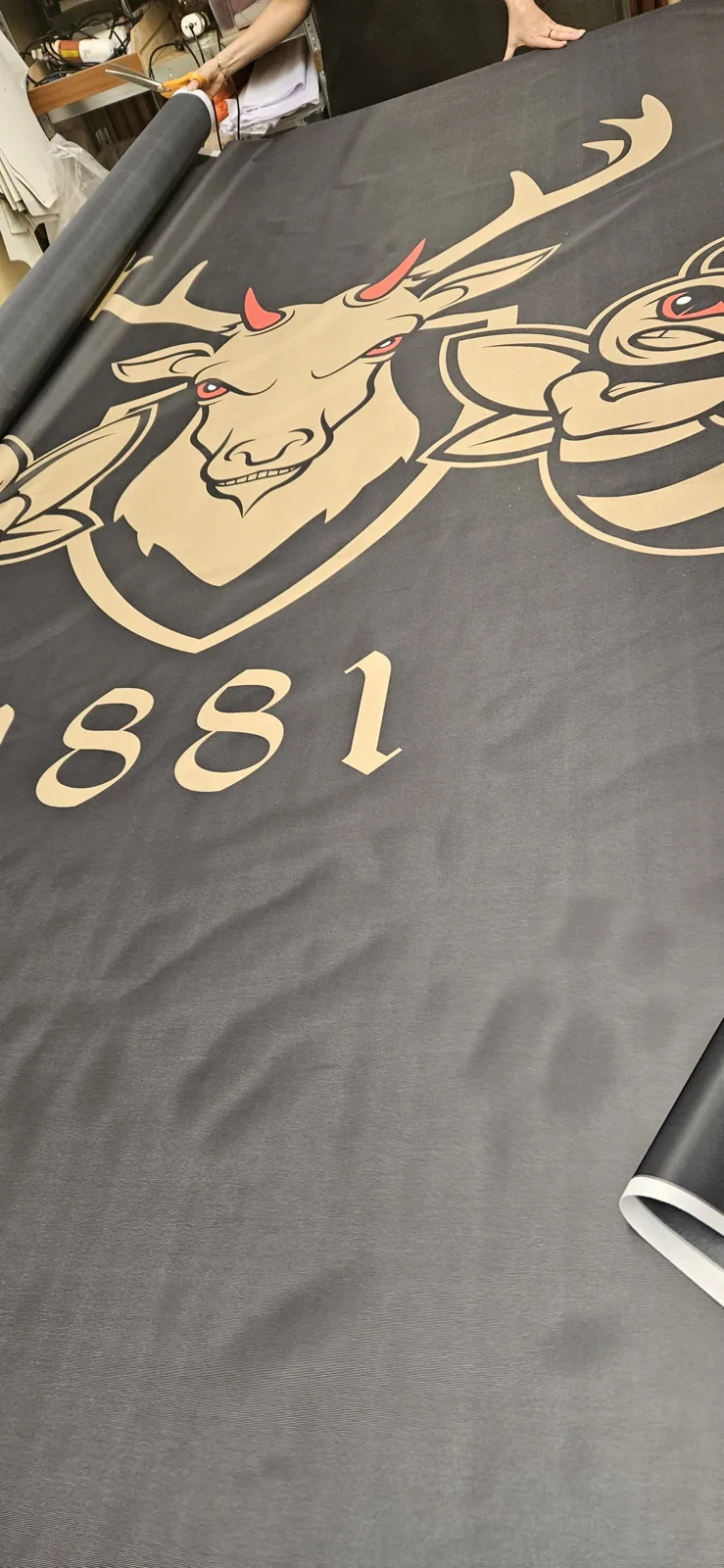 Dark flag with a deer crest and the year 1881